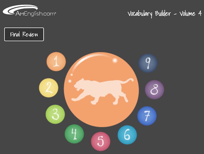 Vocabulary Builder Volume 4 cover